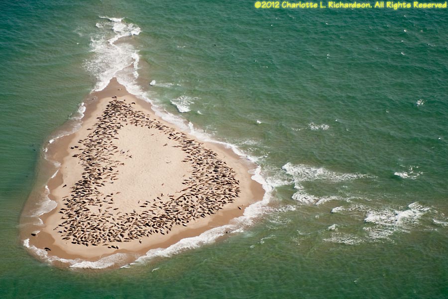 Muskeget Island