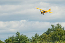 Cub approach