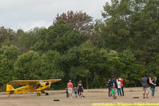 Cub and visitors