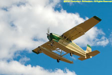 amphib